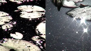 (D')AprèsMonet_107_BD