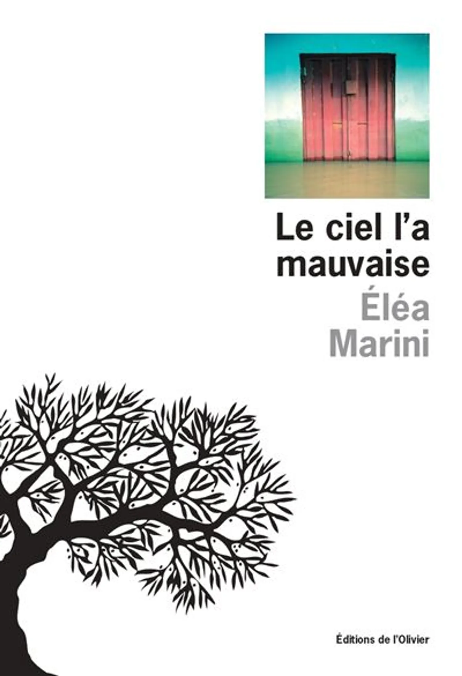 Le-Ciel-l-a-mauvaise-LR
